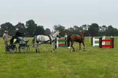 Weald-Harness-Gallery-02