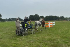 Weald-Harness-Gallery-03