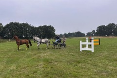 Weald-Harness-Gallery-04