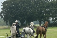 Weald-Harness-Gallery-t01